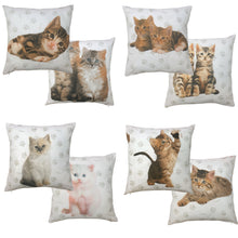Load image into Gallery viewer, Rachael Hale 'Cute Kittens' - Cushion Covers Duchess Gracie
