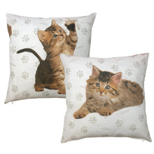 Load image into Gallery viewer, Rachael Hale 'Cute Kittens' - Cushion Covers Malika Tinka