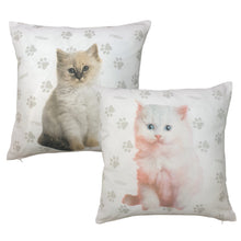 Load image into Gallery viewer, Rachael Hale 'Cute Kittens' - Cushion Covers Duchess Gracie