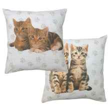 Load image into Gallery viewer, Rachael Hale 'Cute Kittens' - Cushion Covers Ollie Pennie Billy Riley