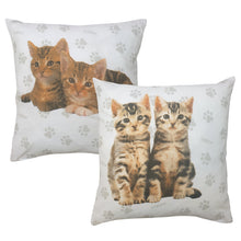 Load image into Gallery viewer, Rachael Hale 'Cute Kittens' - Cushion Covers Ollie Pennie Billy Riley