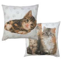 Load image into Gallery viewer, Rachael Hale 'Cute Kittens' - Cushion Covers Abby Grayce Hana Cats