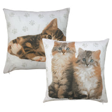 Load image into Gallery viewer, Rachael Hale 'Cute Kittens' - Cushion Covers Abby Grayce Hana Cats